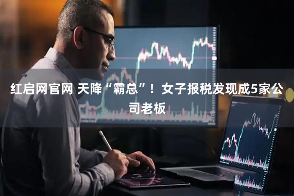 红启网官网 天降“霸总”！女子报税发现成5家公司老板
